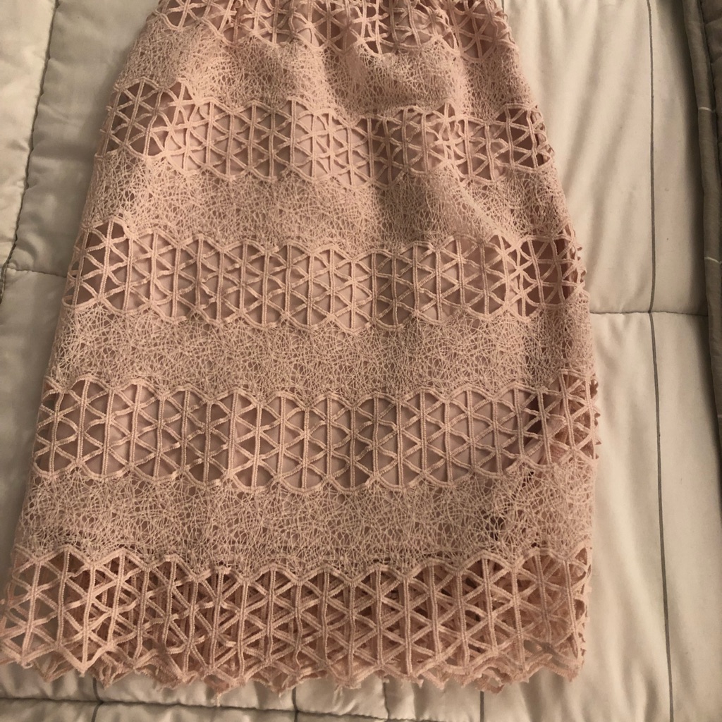 H33: Gorgeous Designer Vince Cumoto Lace Over Lining Neutral Pull On Skirt- Sz L
